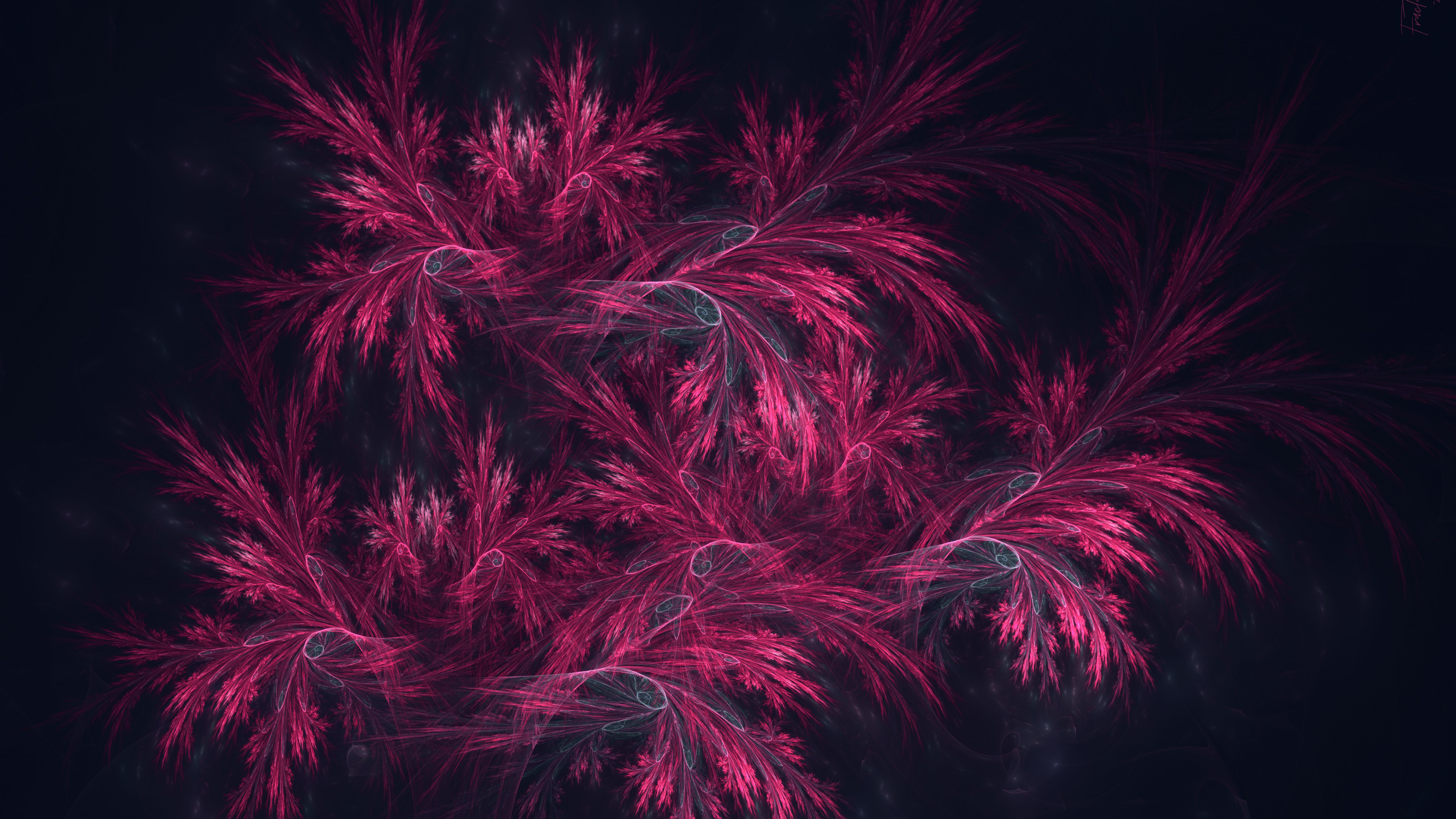 5120x2880 Light Pink Fractal Art Black Background 4K 5K HD Abstract Wallpaper