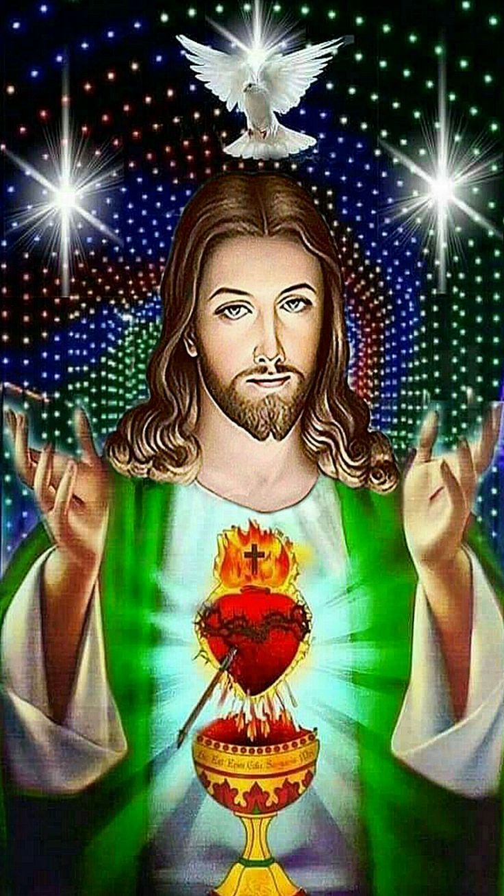 736x1308 Heart of Jesus Christ! HD wallpaper