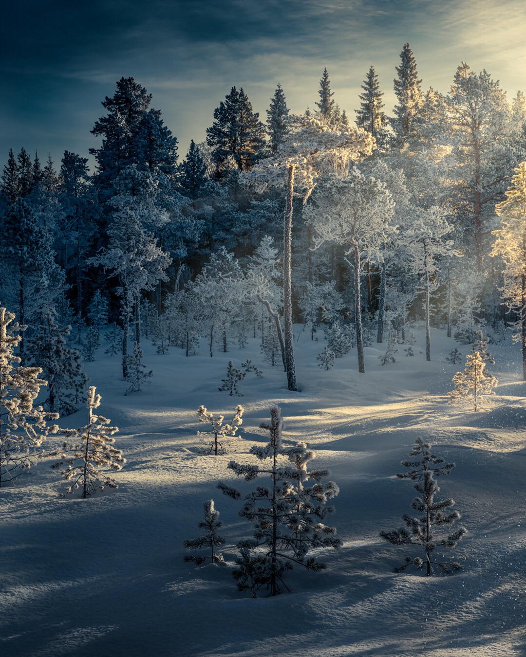 1080x1350 Swedish winter landscape