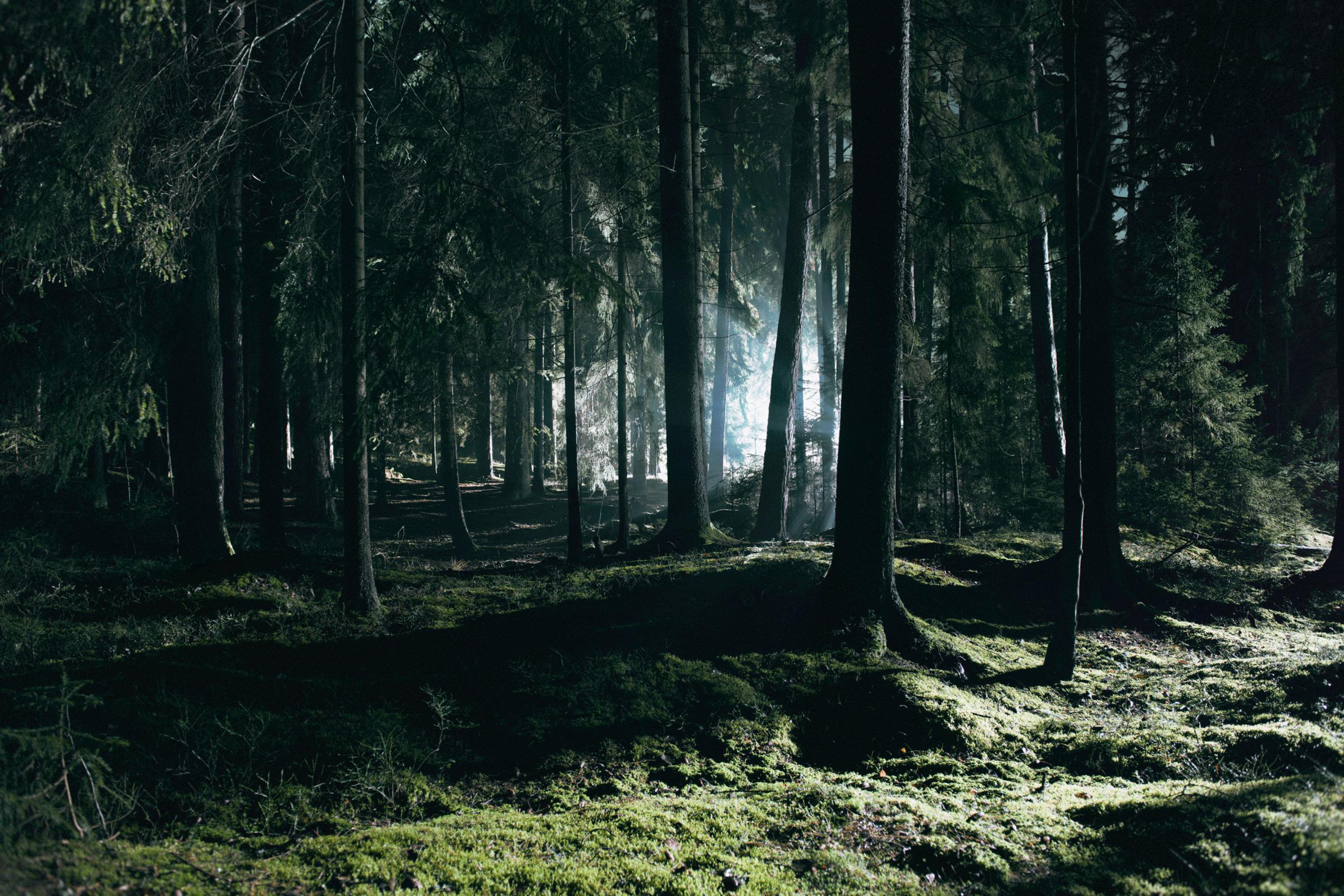 2480x1654 Spirits, trolls, elves and 'näcken'