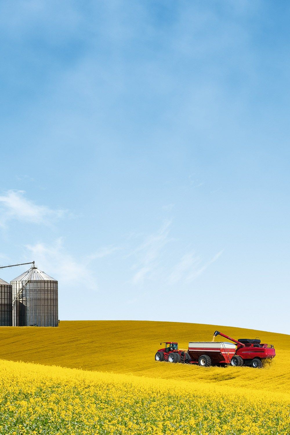 1000x1500 It's harvest time. What's happened to Farmer Jeremy Clarkson's crop?
