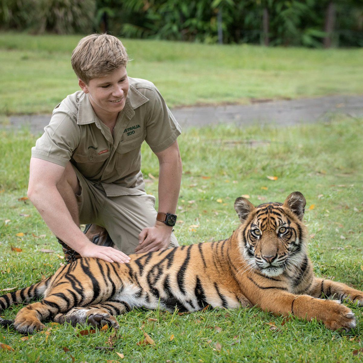 1200x1200 Robert Irwin Wallpaper