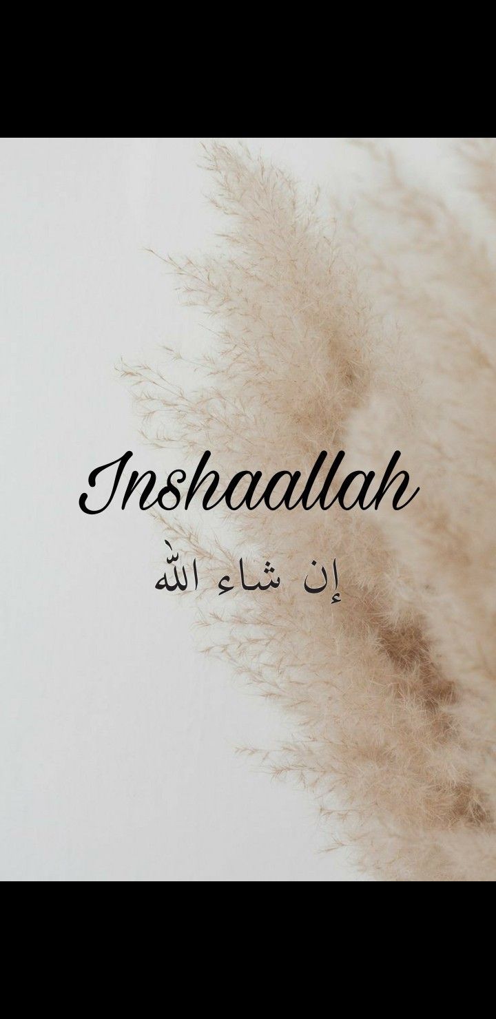 720x1480 inshaallah