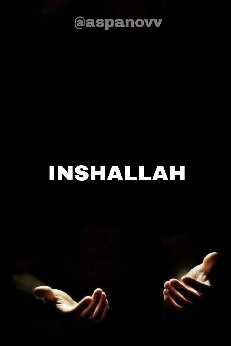 736x1103 Inshallah