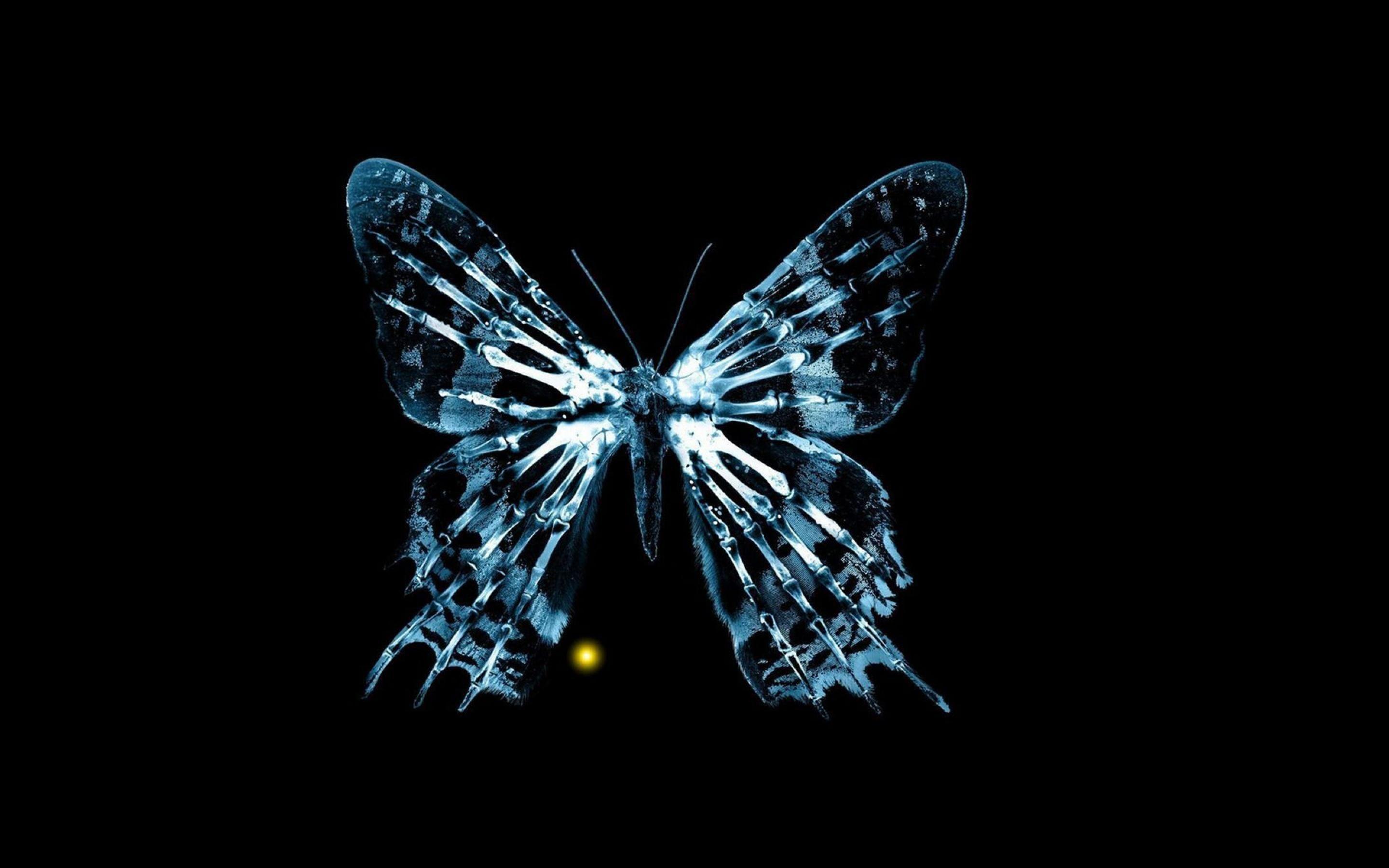 Butterfly Effect Wallpapers - Top Free Butterfly Effect Backgrounds -  WallpaperAccess