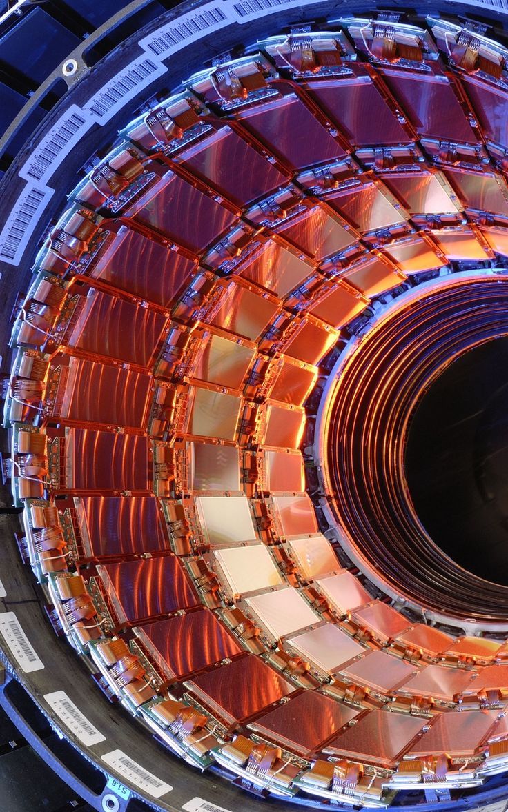 736x1177 Wallpaper accelerator particles hadron collider