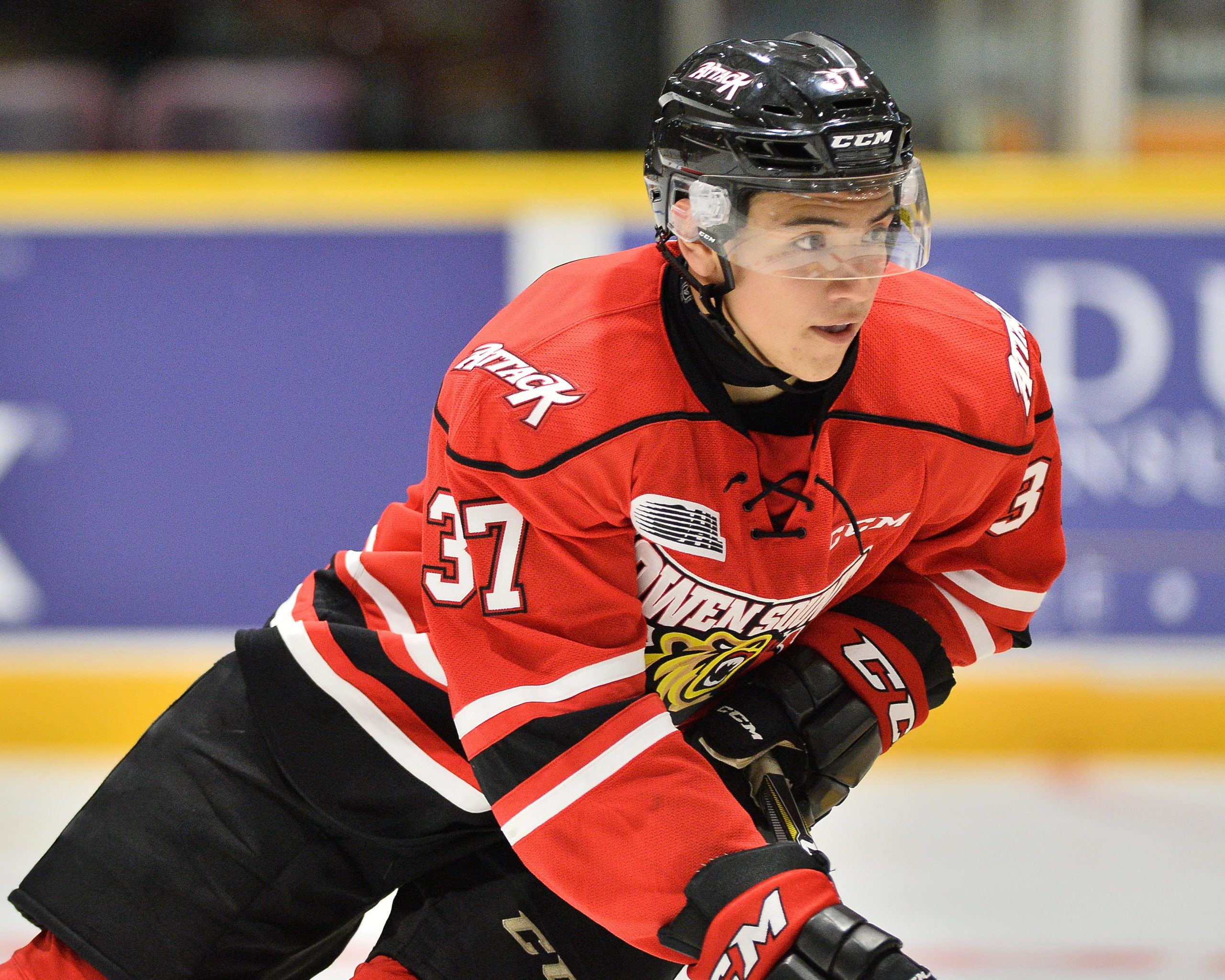2560x2048 Nick Suzuki NHL Draft Profile