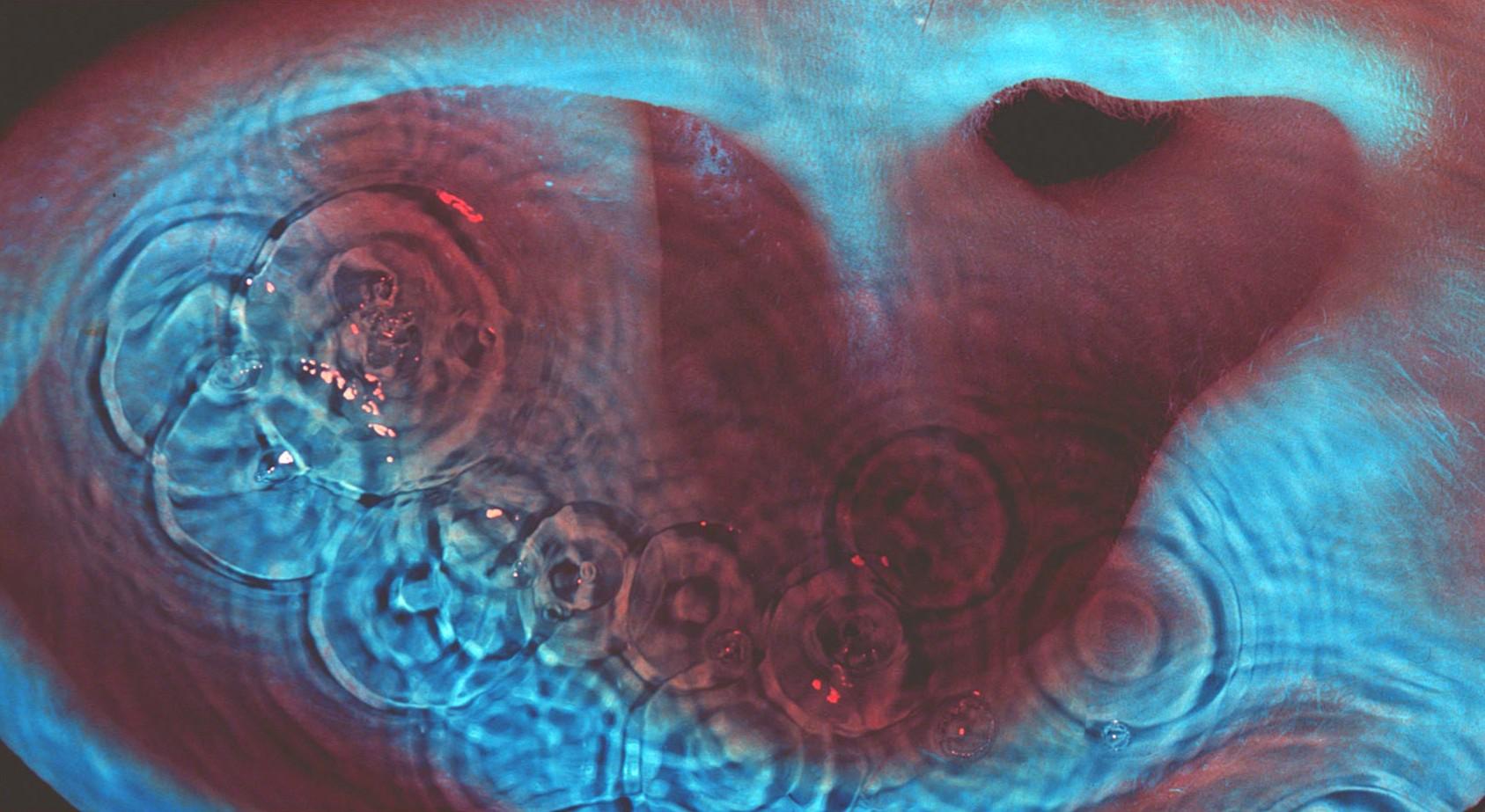 1687x923 TIL That The Cover Of Meddle Is Actually A Closeup Of An Ear (turn Your Phone To The Right Of You Can't See It). Based On A Comment By U Warrenni