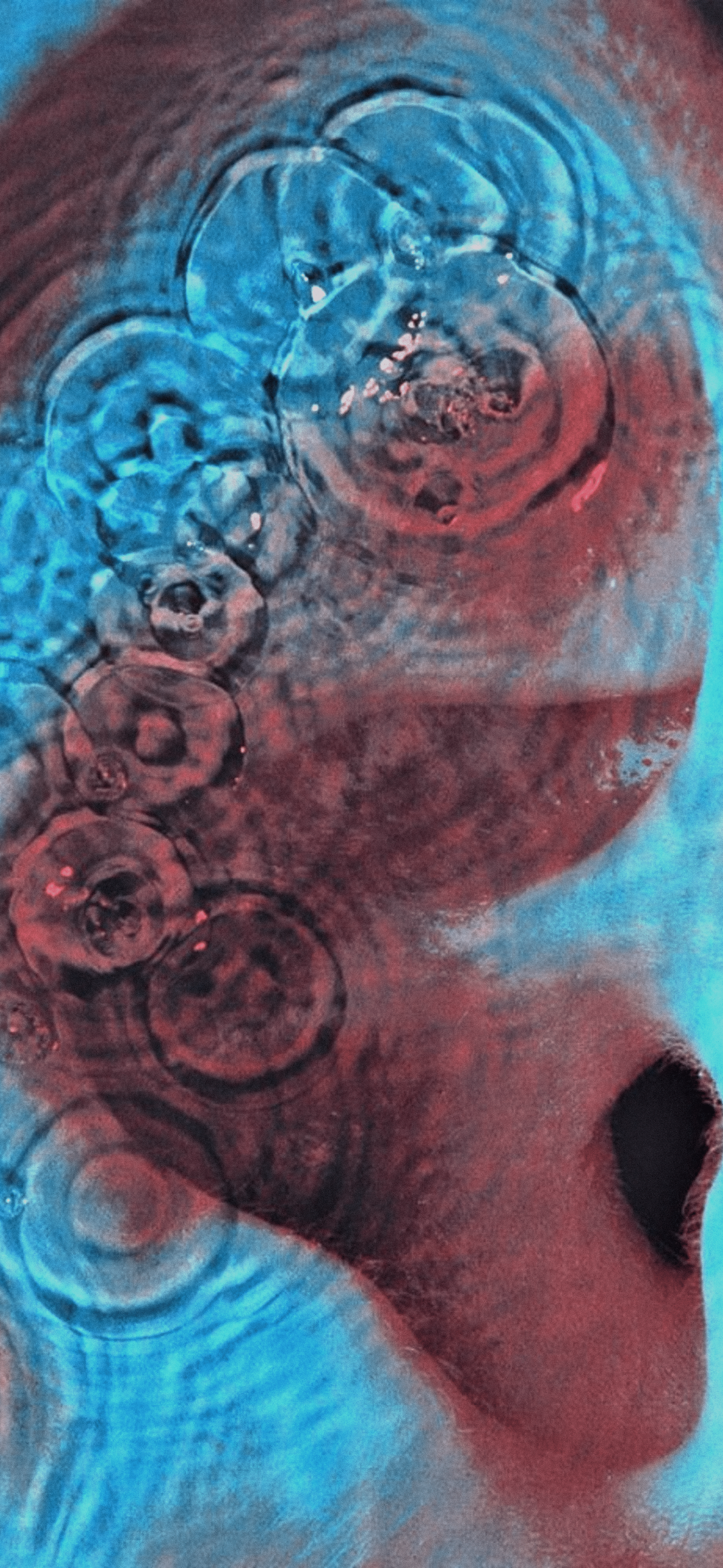 2160x4680 Pink Floyd Wallpaper (OC)
