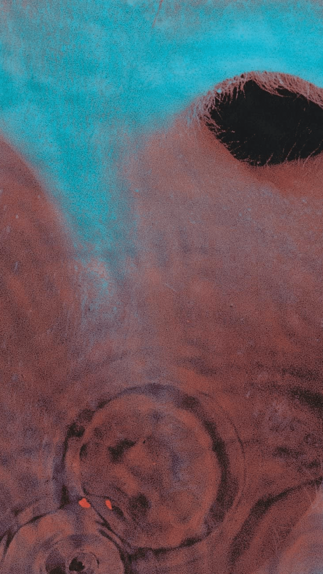 1080x1920 Phone wallpaper