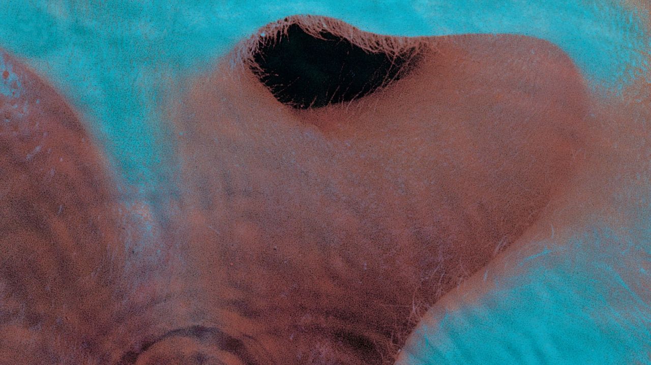 1280x719 Pink Floyd: Meddle Album Review