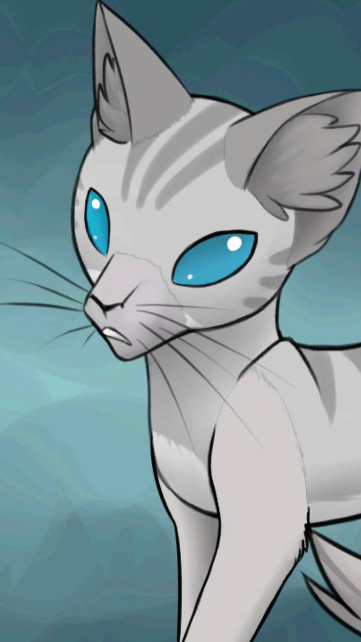 720x1280 Jayfeather wallpaper