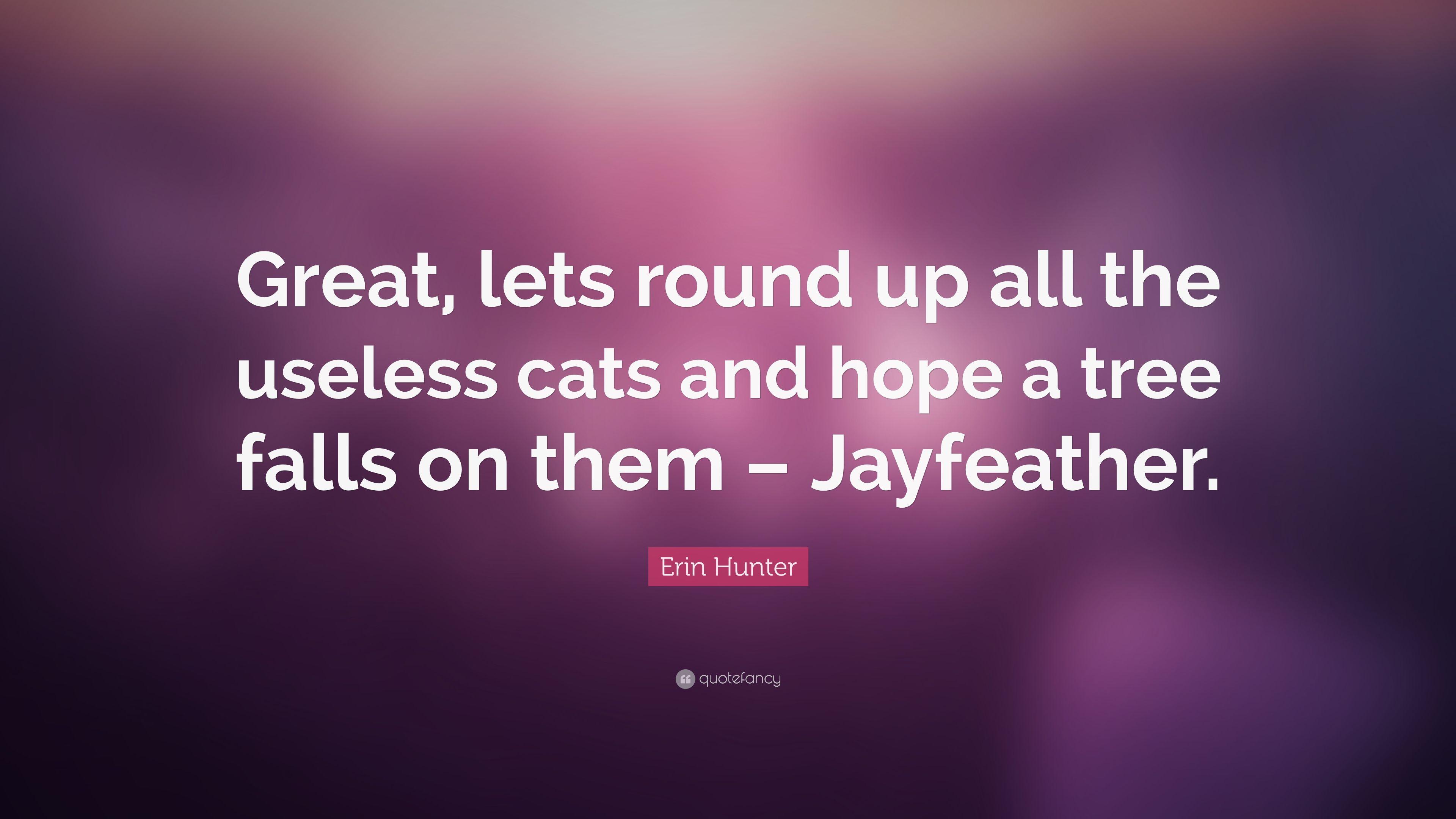 3840x2160 Erin Hunter Quote: “Great, lets round up all the useless cats