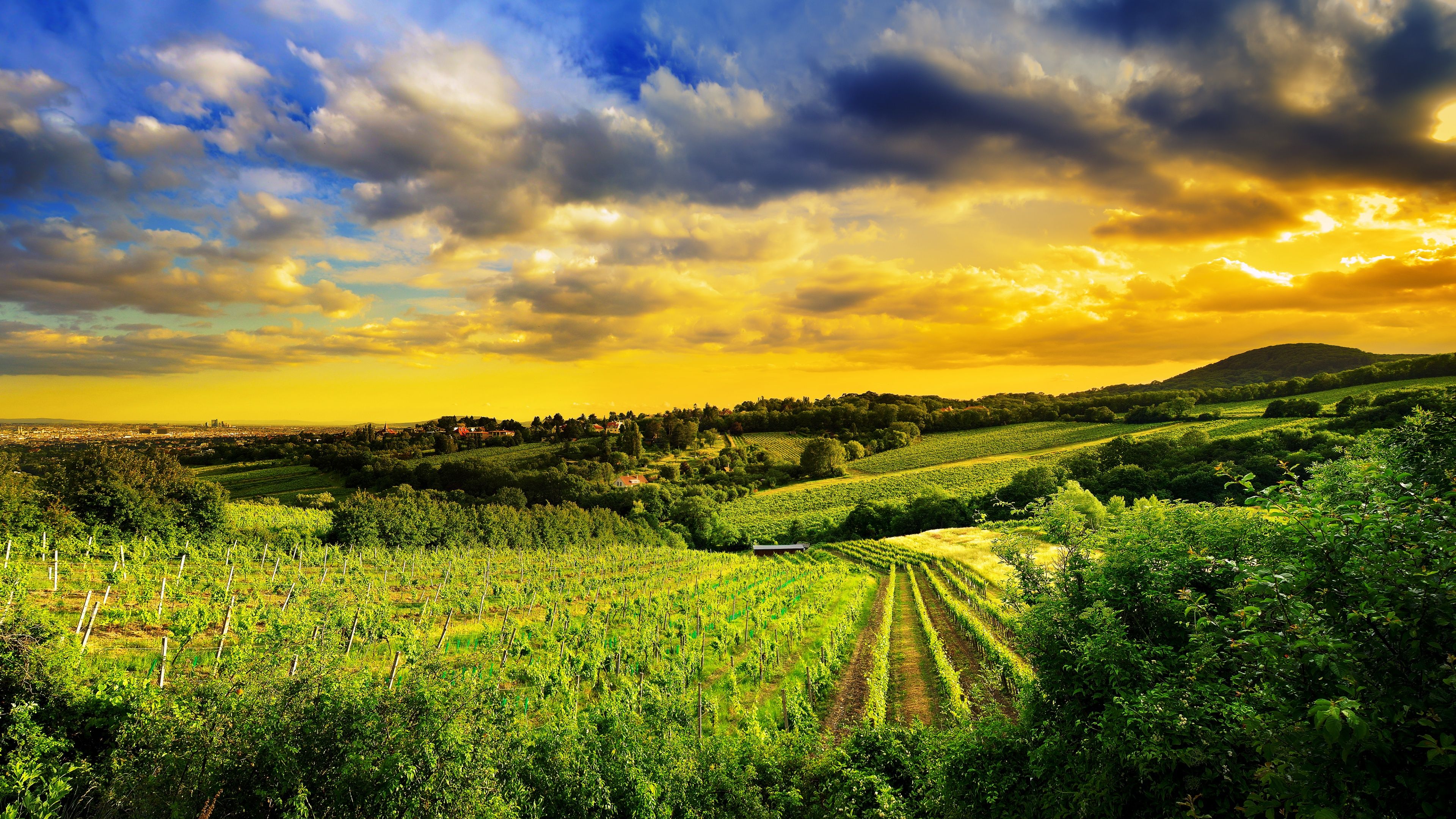 3840x2160 Kahlenberg hills Wallpaper 4K, Vienna, Austria, Landscape