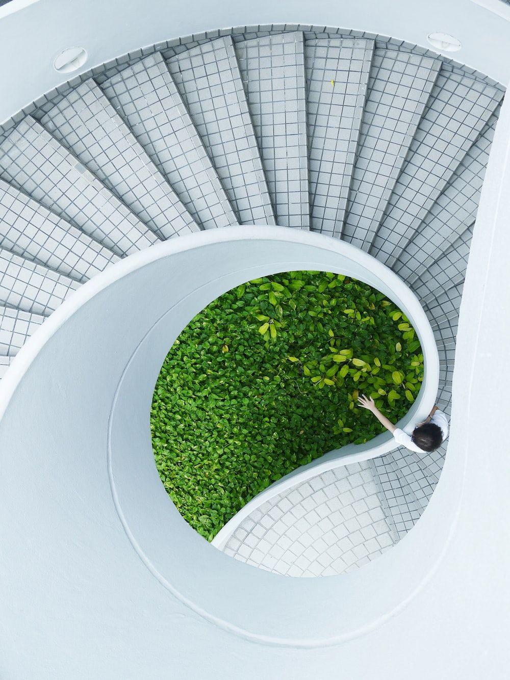 1000x1334 iPhone wallpaper best free iphone wallpaper, plant, grey