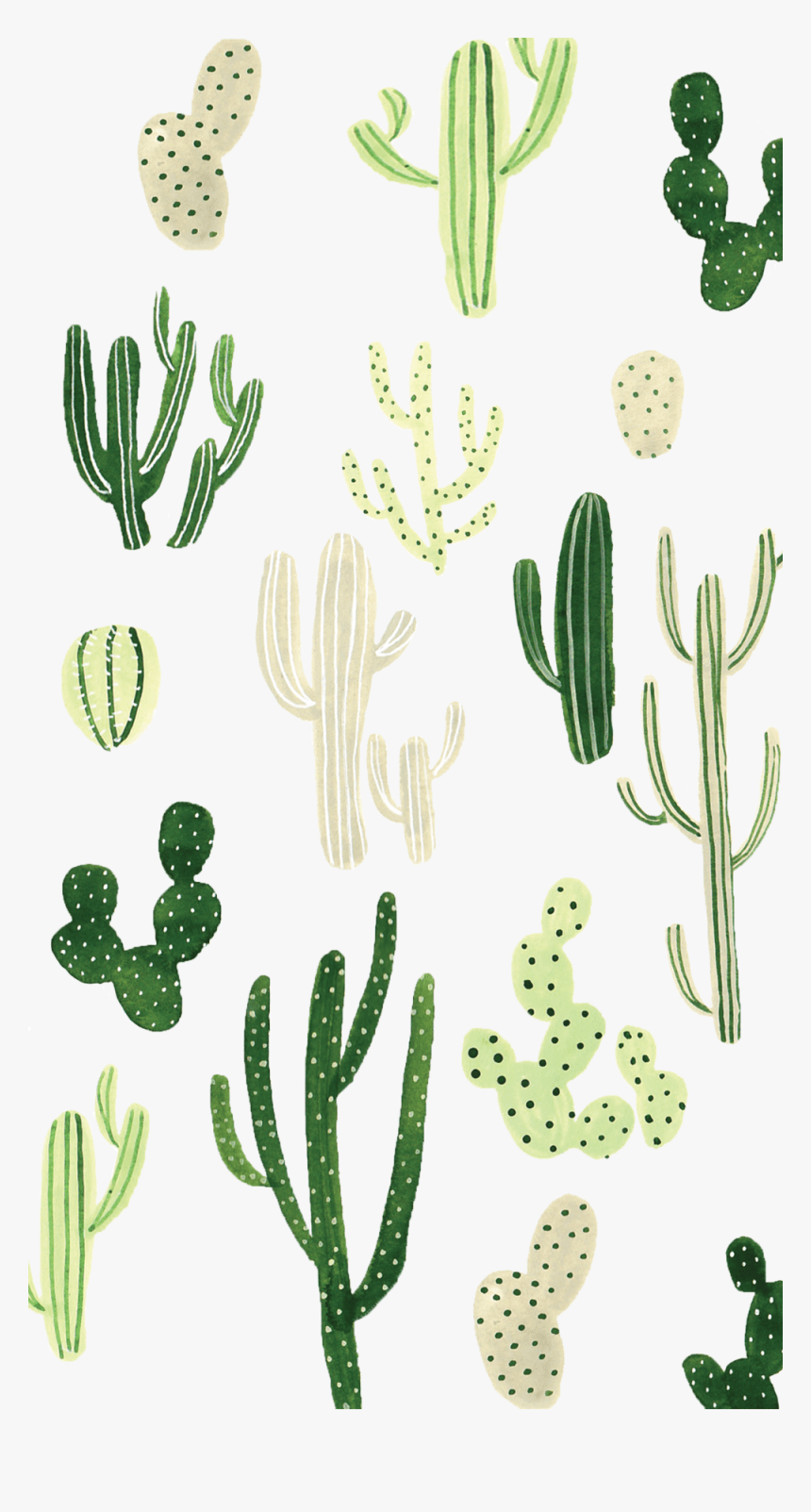 860x1603 Fondos De Pantalla Sigueme Wallpaper Plants, HD Png