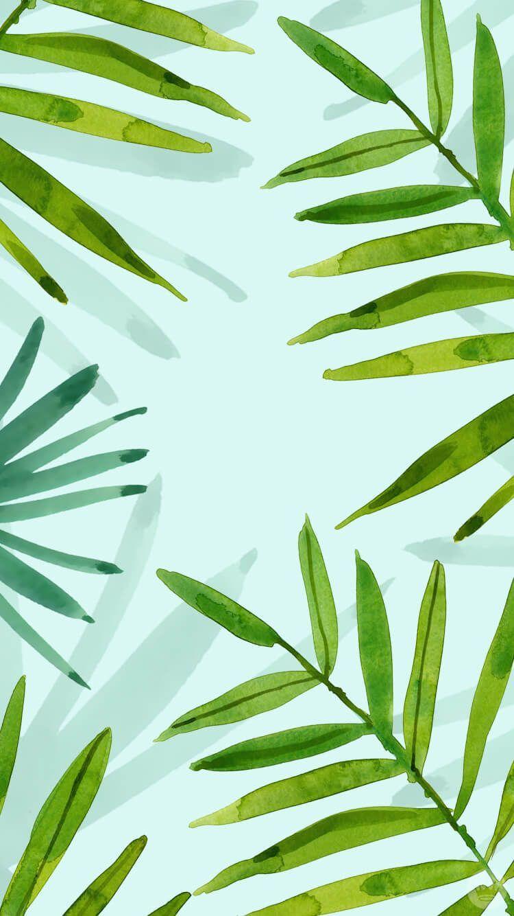 750x1334 iPhone Wallpaper. Leaf, Green, Vegetation, Plant, Botany, Tree