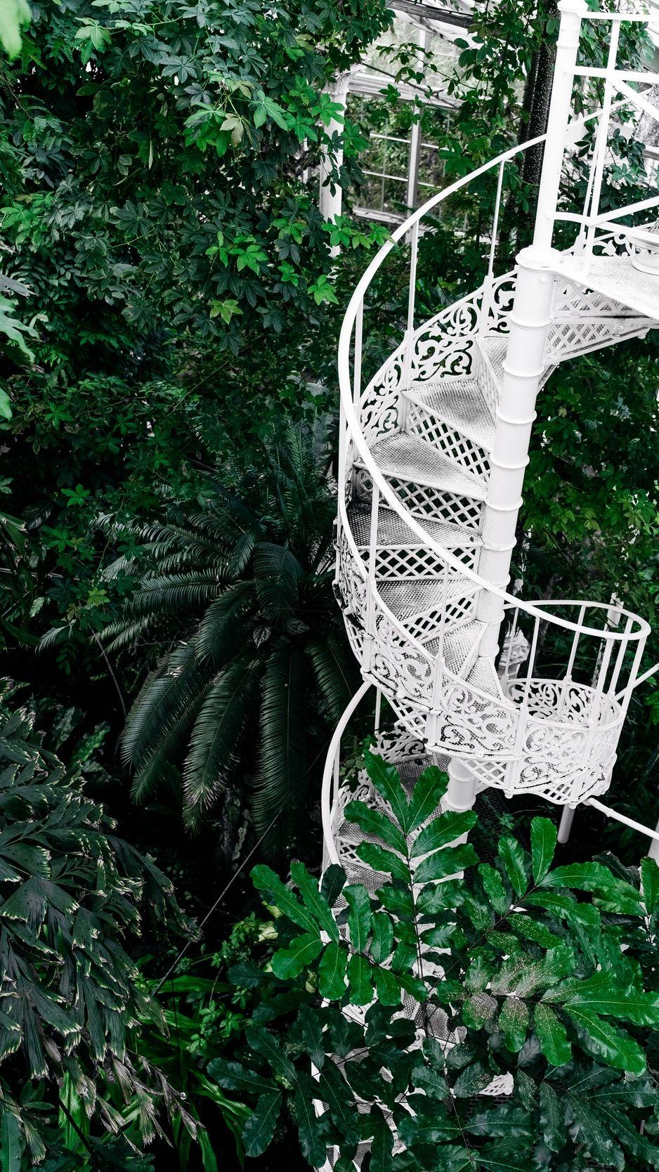 938x1668 Download wallpaper 938x1668 staircase, circular, botanical garden