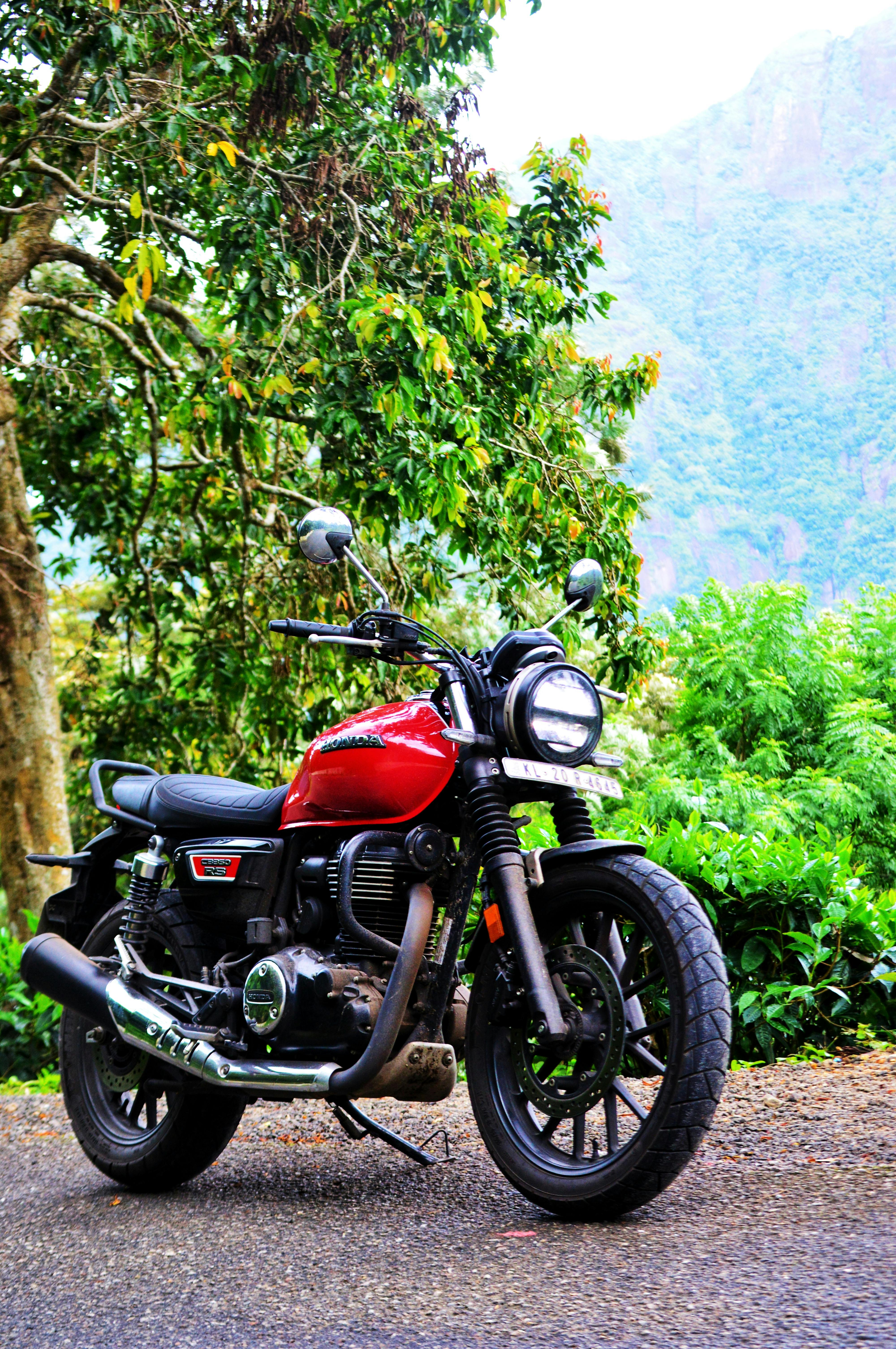 4000x6016 Modern Motorbike near Green Tree in Mountains Landscape · Free