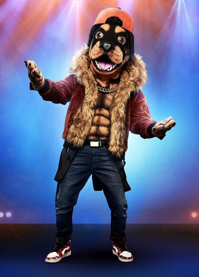 760x1060 The Masked Singer Season 2 24inch x 33inch Silk Poster TV Drama Wallpaper Wall Decor Silk Prints for Home and Store : Tools & Home Improvement