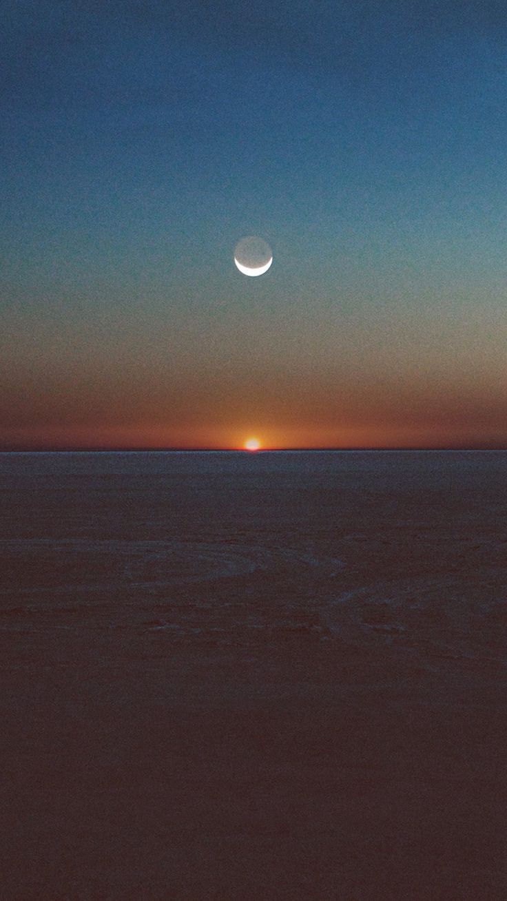 736x1308 Tycho Spectre Art Music Sunset Dessert Art iPhone 8 Wallpaper
