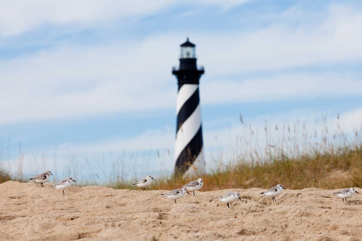 1200x800 Local's Hatteras Island Vacation Guide