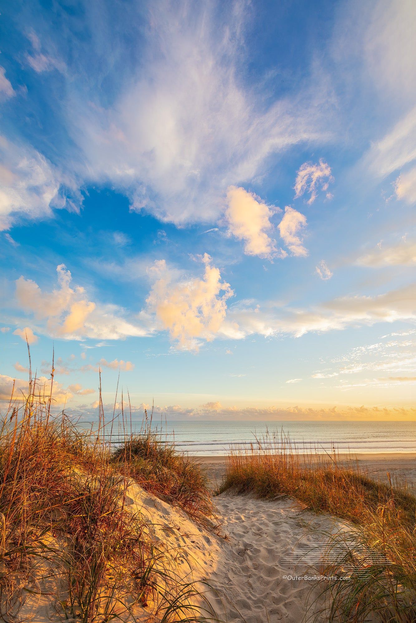 1334x2000 High Dune Outer Banks Beach