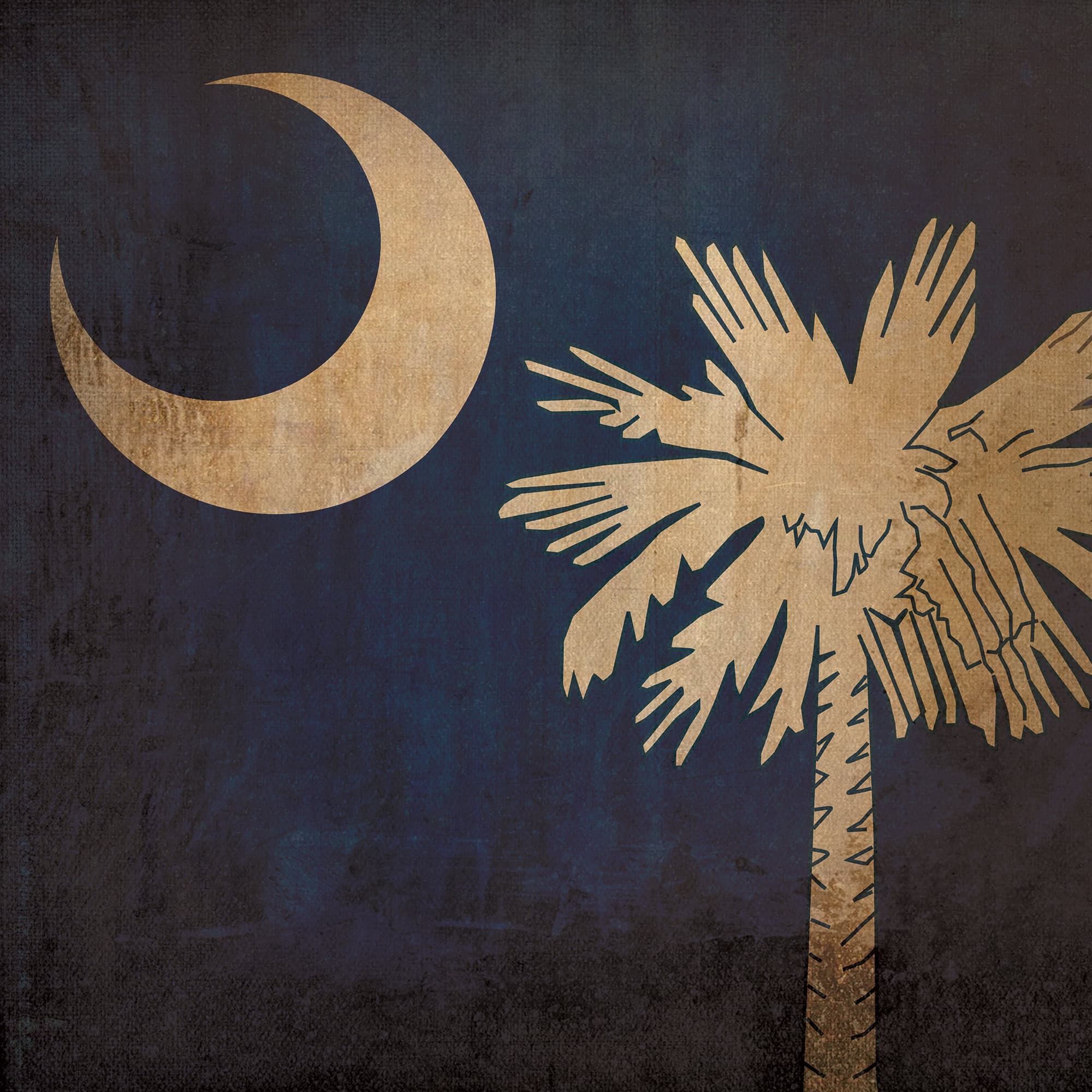 2000x2000 South Carolina Flag Art by City Prints Map Shop