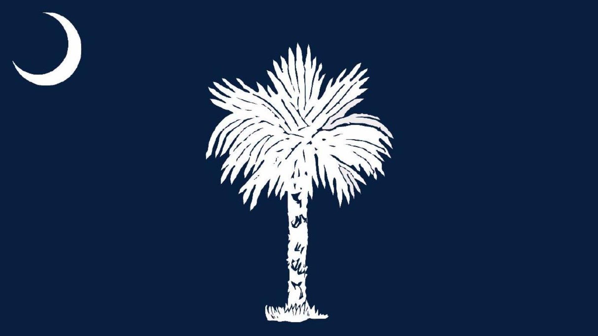 1920x1080 New South Carolina state flag designs released