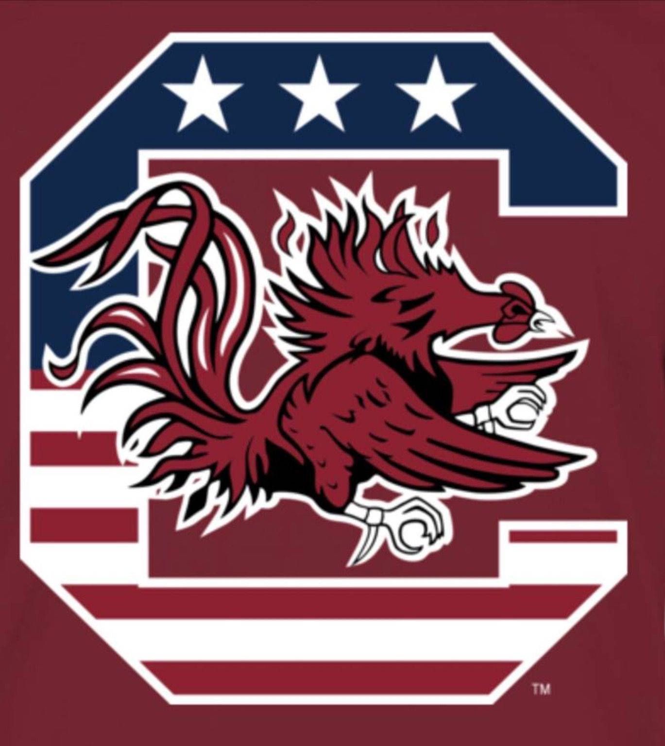 1369x1536 Download South Carolina Gamecocks C Flag Design Wallpaper