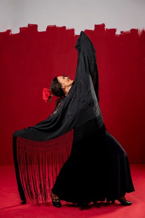 493x740 Flamenco show wallpaper Image