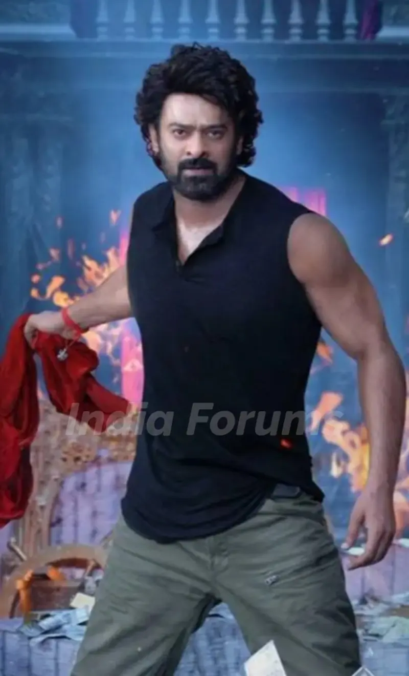 800x1320 Raja Saab Photo