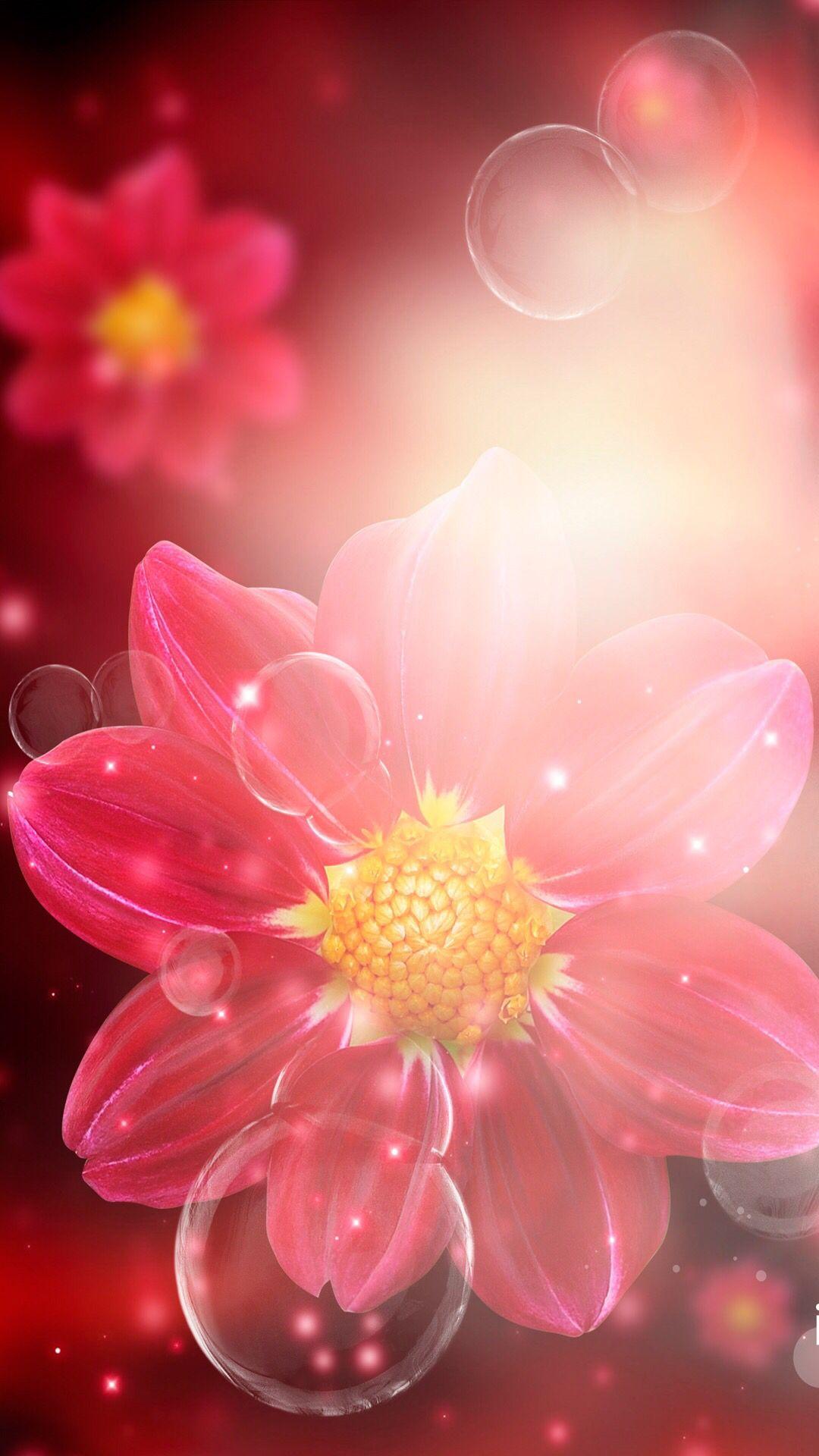 Spanish iPhone Wallpapers Top Free Spanish iPhone Backgrounds