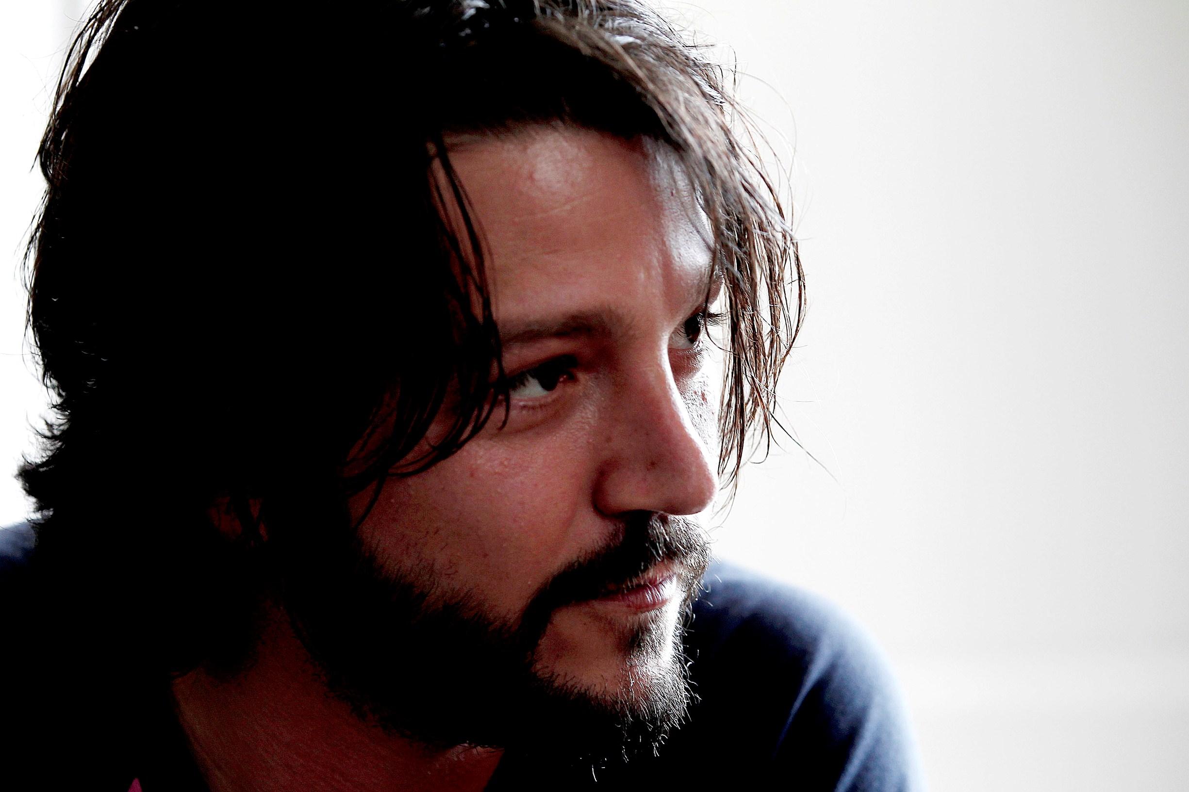 2450x1633 Diego Luna Wallpaper