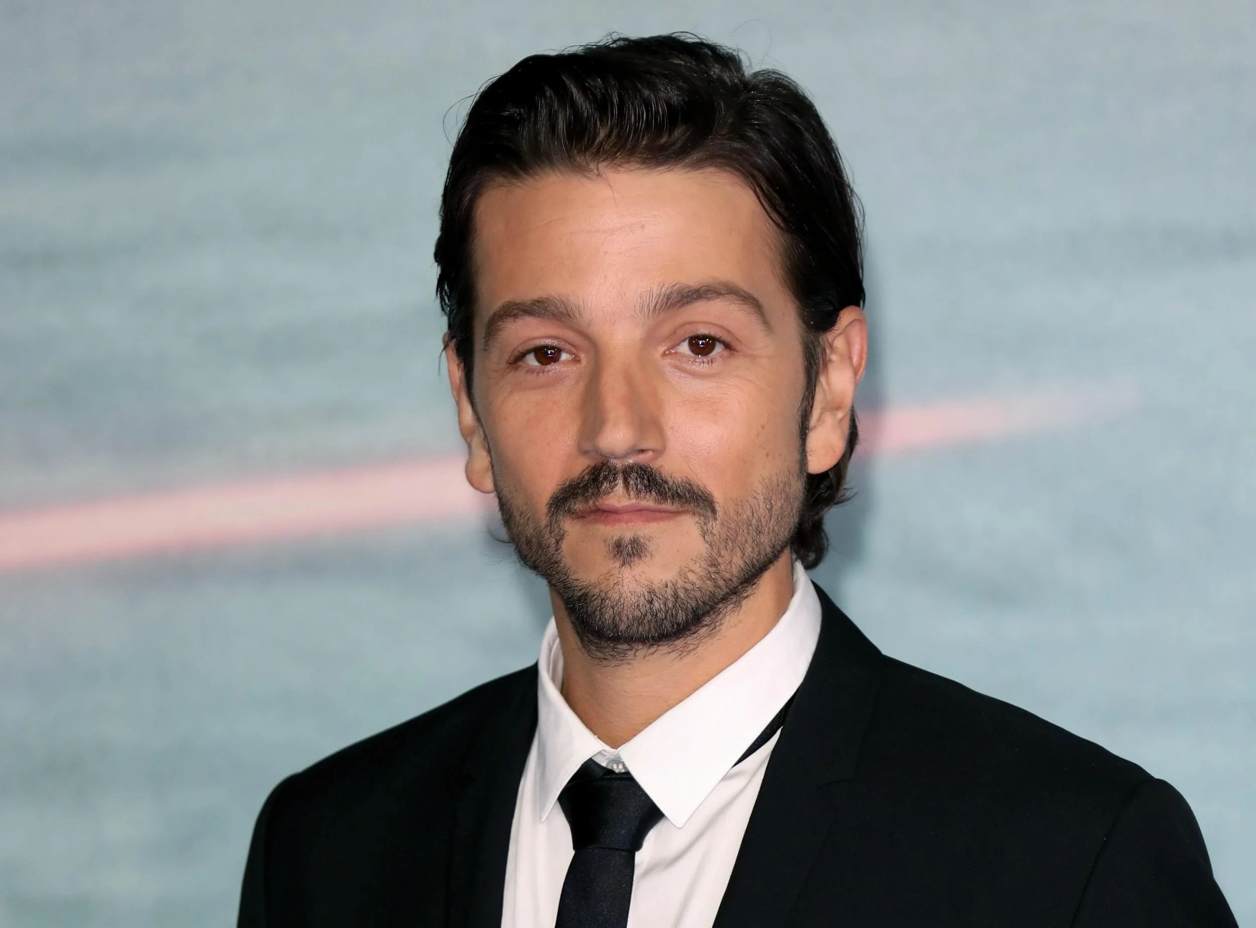 2500x1846 Diego Luna Wallpaper