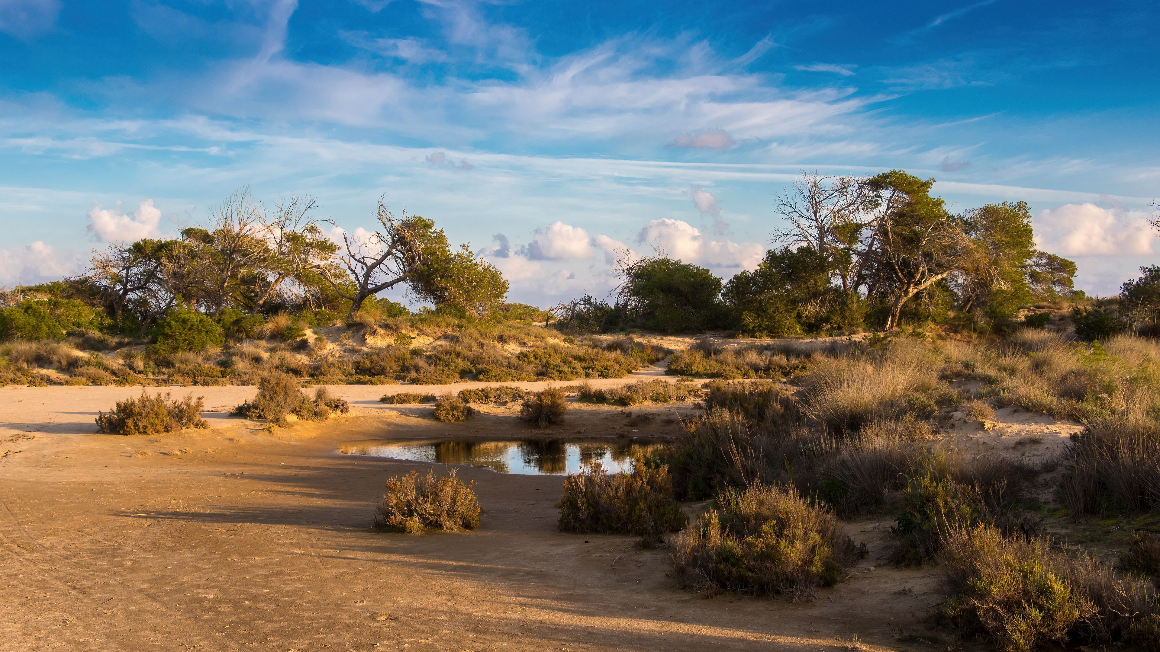 3840x2160 Download wallpaper 3840x2160 oasis, desert, savannah, nature 4k uhd 16:9 HD background