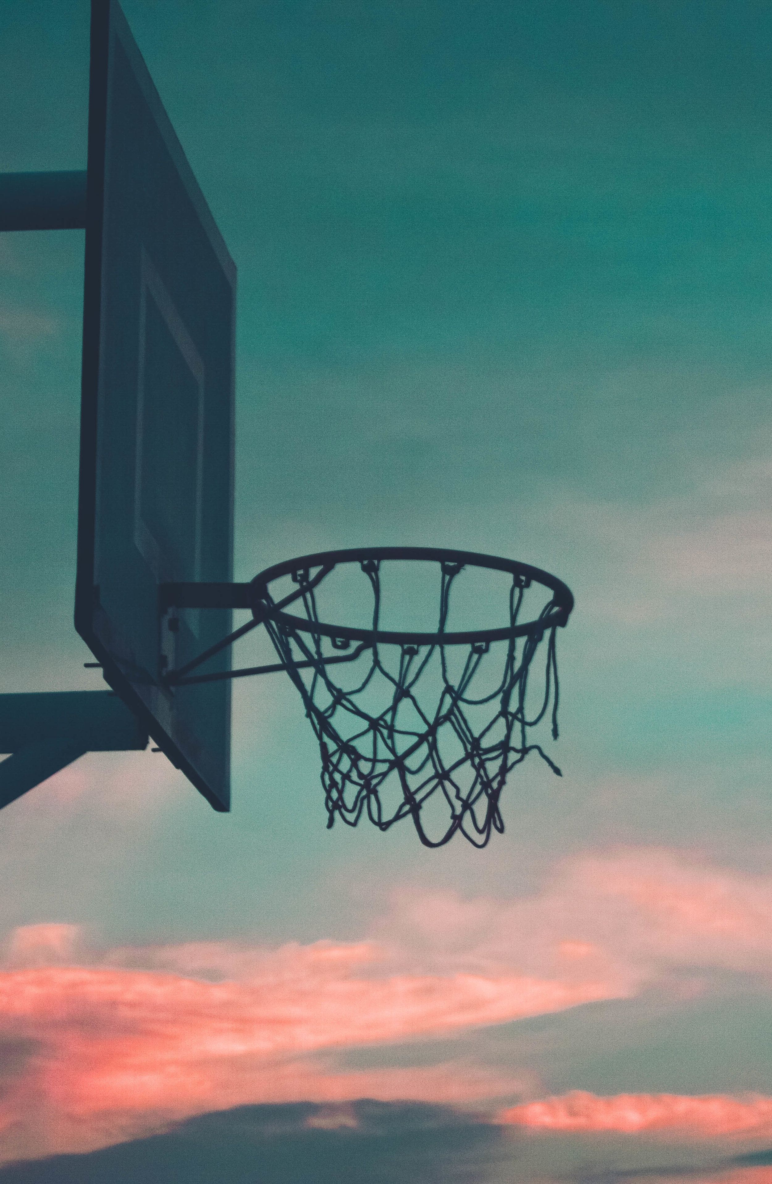 2500x3833 Cute Basketball Wallpaper
