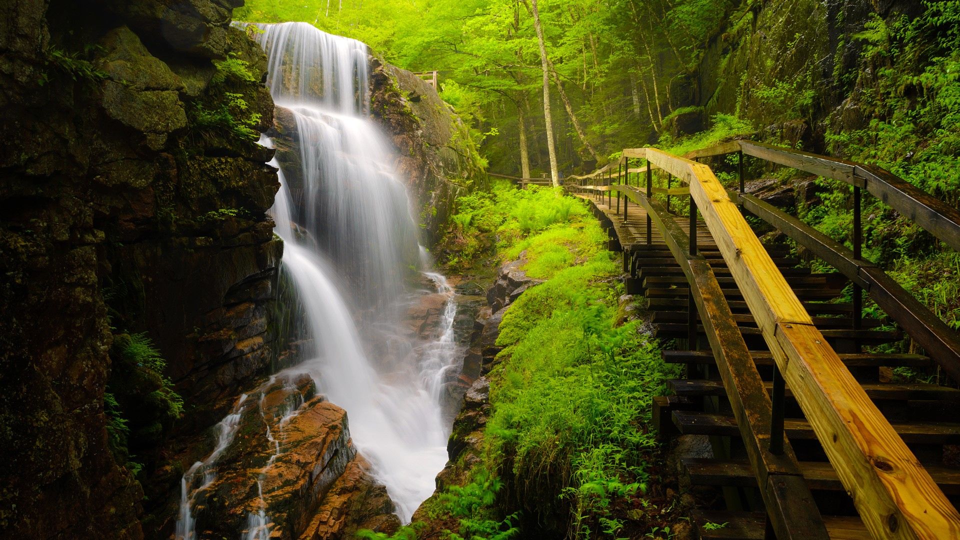 1920x1080 Avalanche Falls at Flume Gorge, Franconia Notch State Park, New Hampshire, USA. Windows Spotlight Image