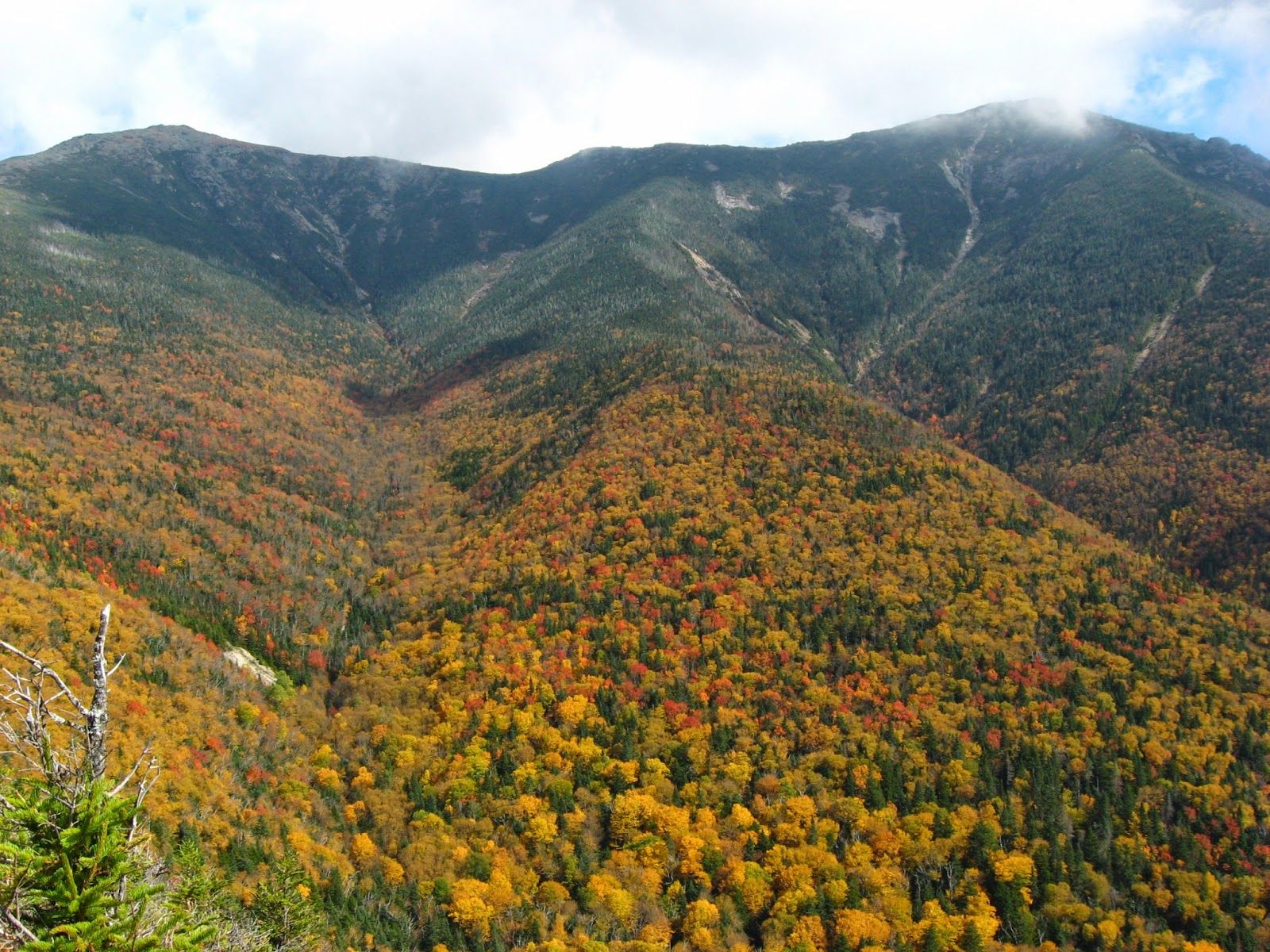 1600x1200 Hiking Shenandoah: Franconia Ridge