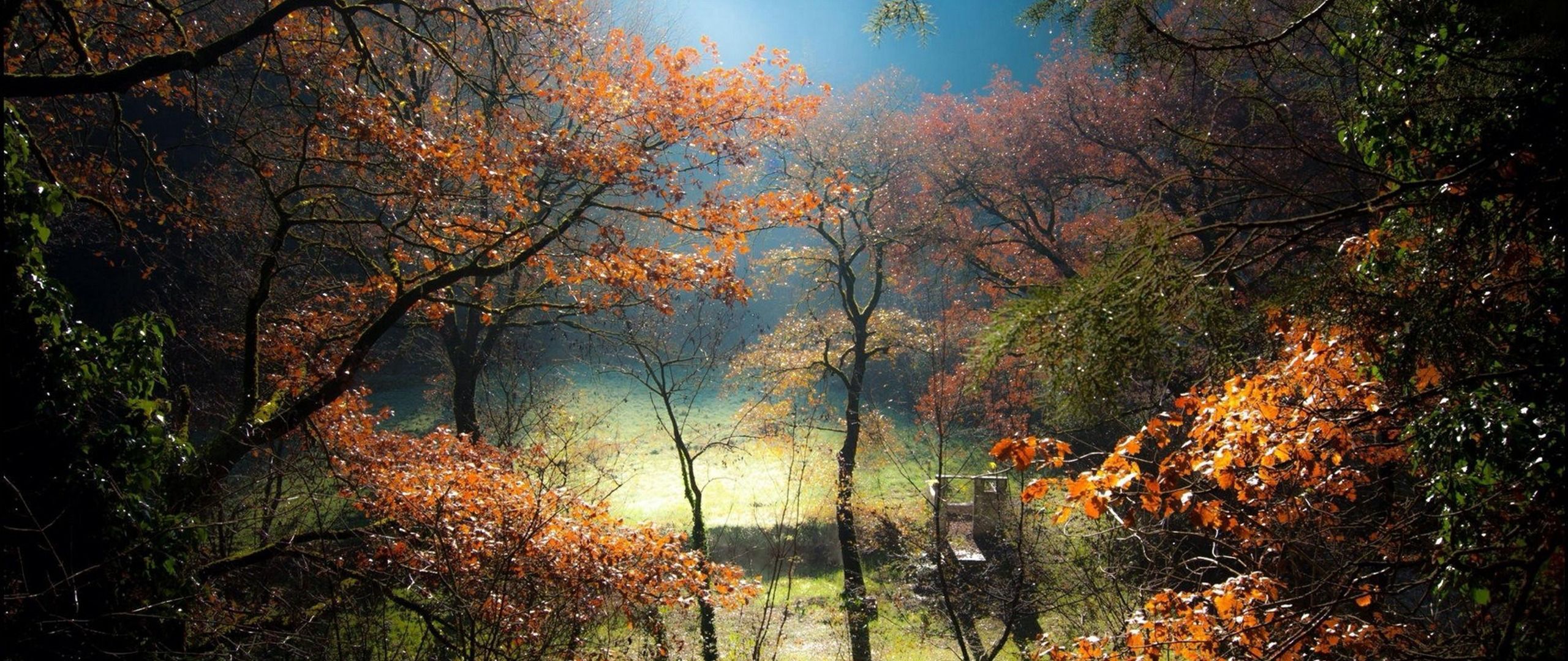2560x1080 ultra wide, Photography, Nature Wallpaper HD / Desktop and Mobile Background