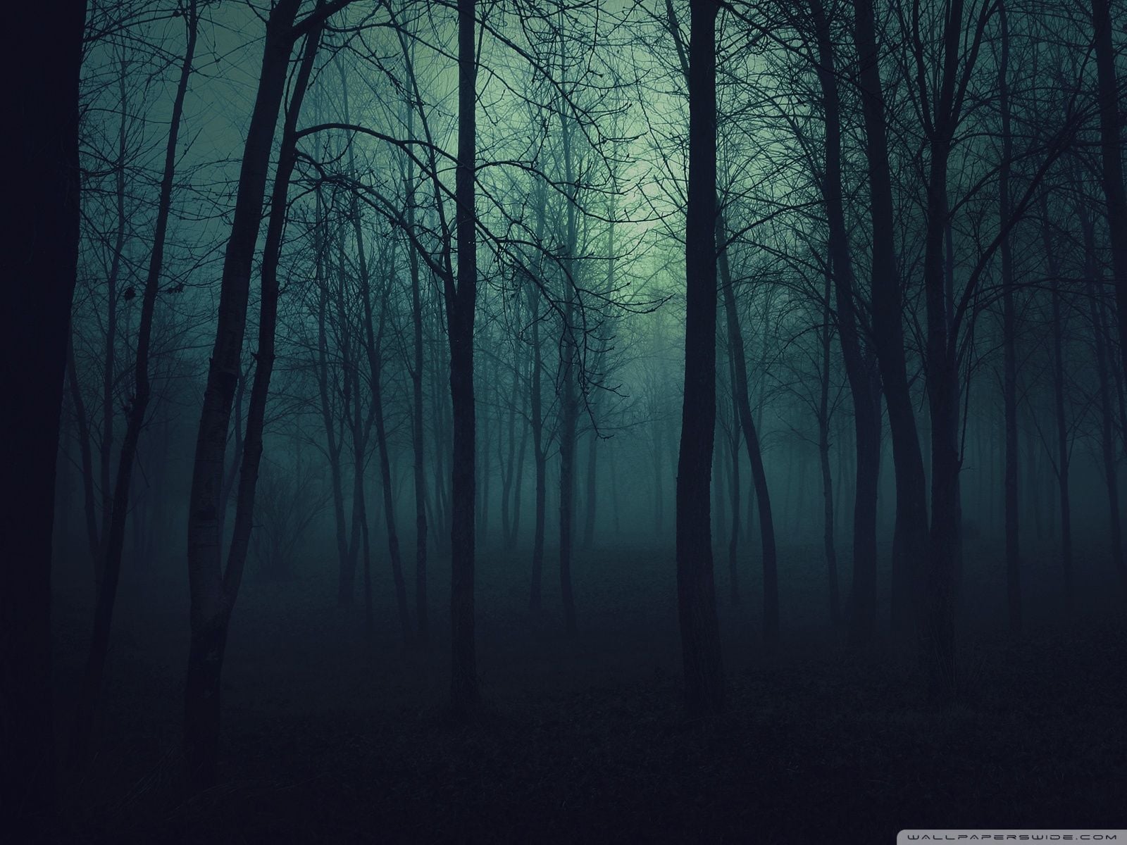 1600x1200 