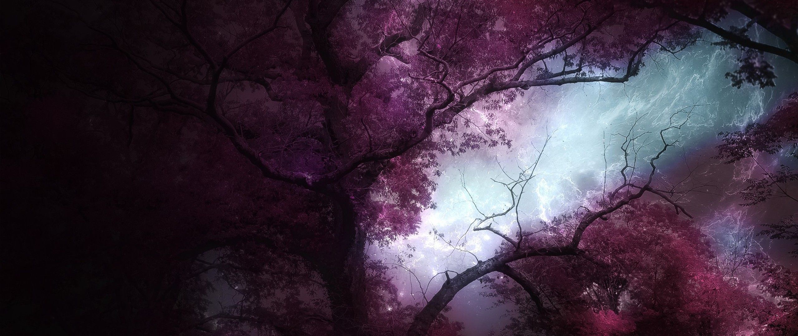 2560x1080 ultra wide, Photography Wallpaper HD / Desktop and Mobile Background