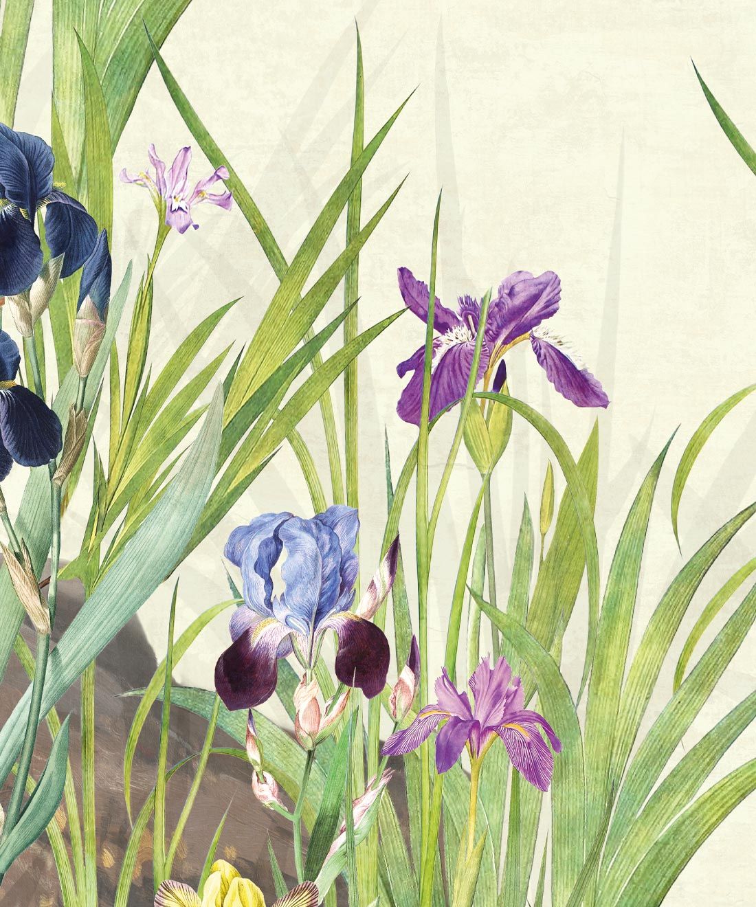 1100x1320 Iris Garden Mural. Milton & King