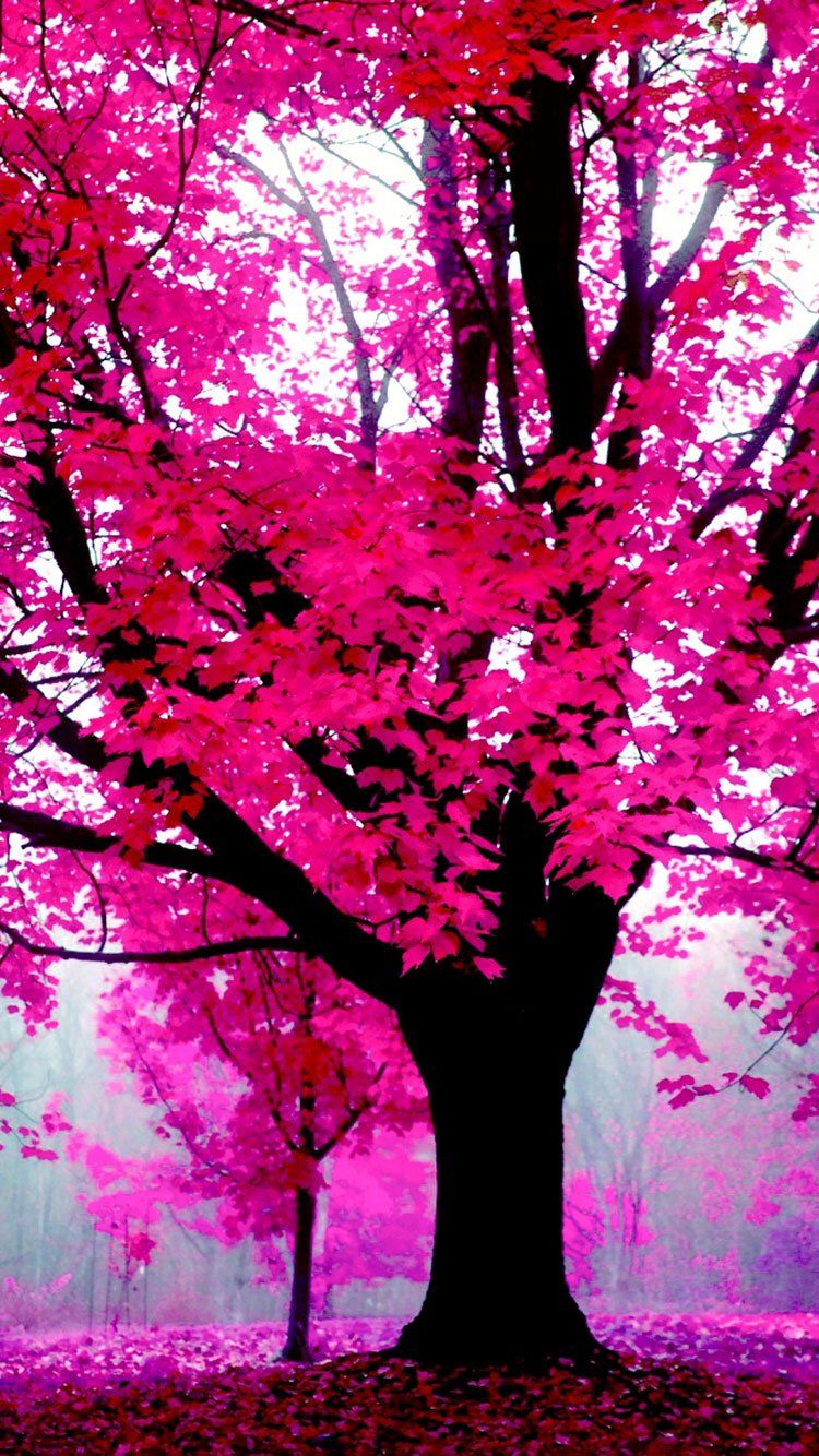 750x1334 Pink 4k iPhone Wallpaper