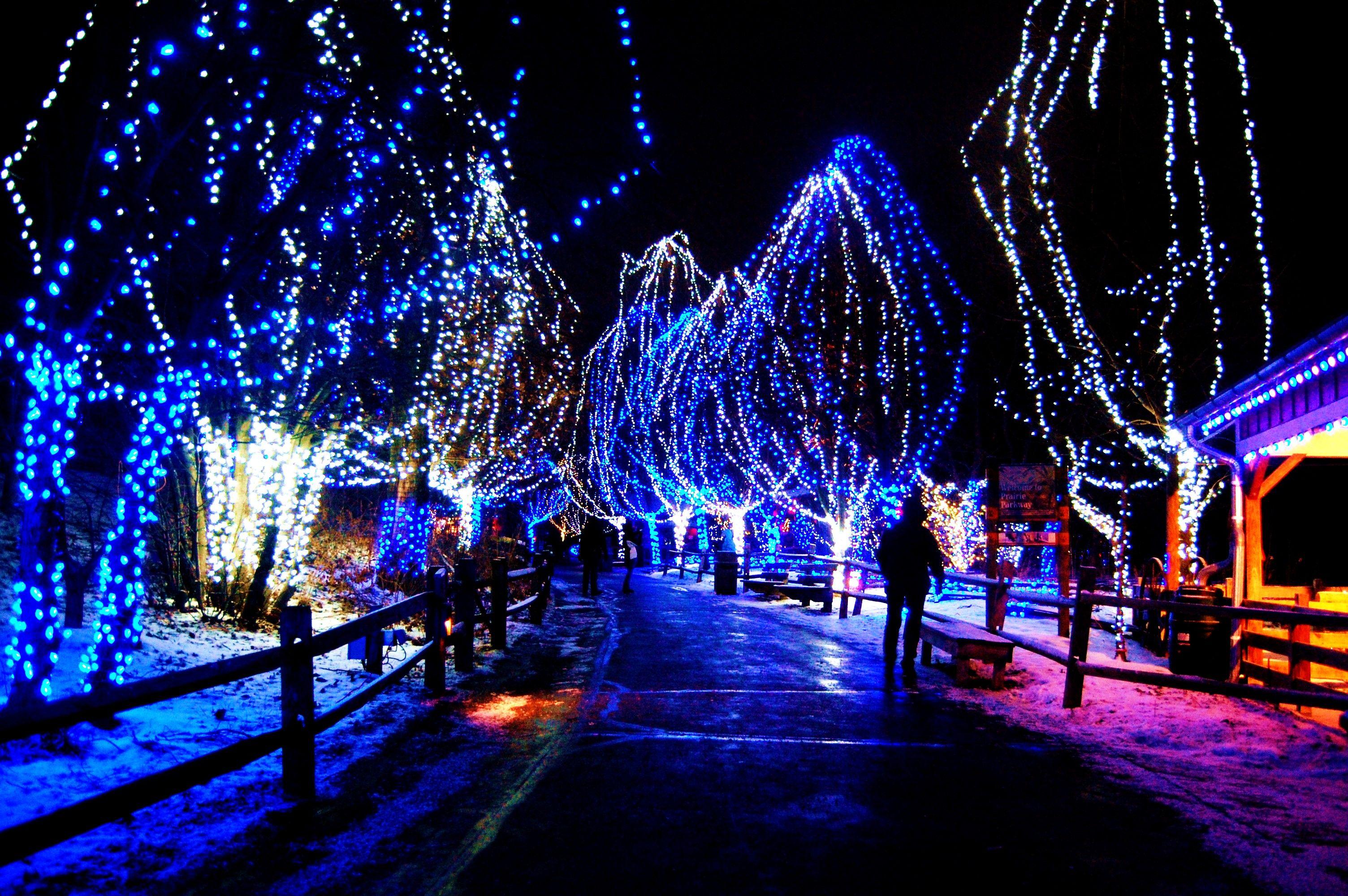 3008x2000 Free Christmas Lights Wallpaper