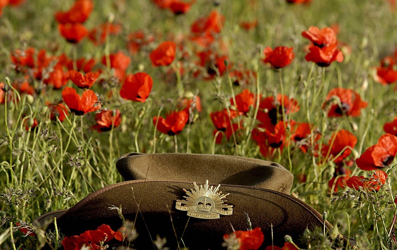 1650x1037 ANZAC Day: Poppies & Soldier's Slouch Hatx1037