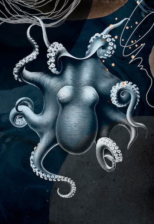 508x740 Giant pacific octopus painting Image
