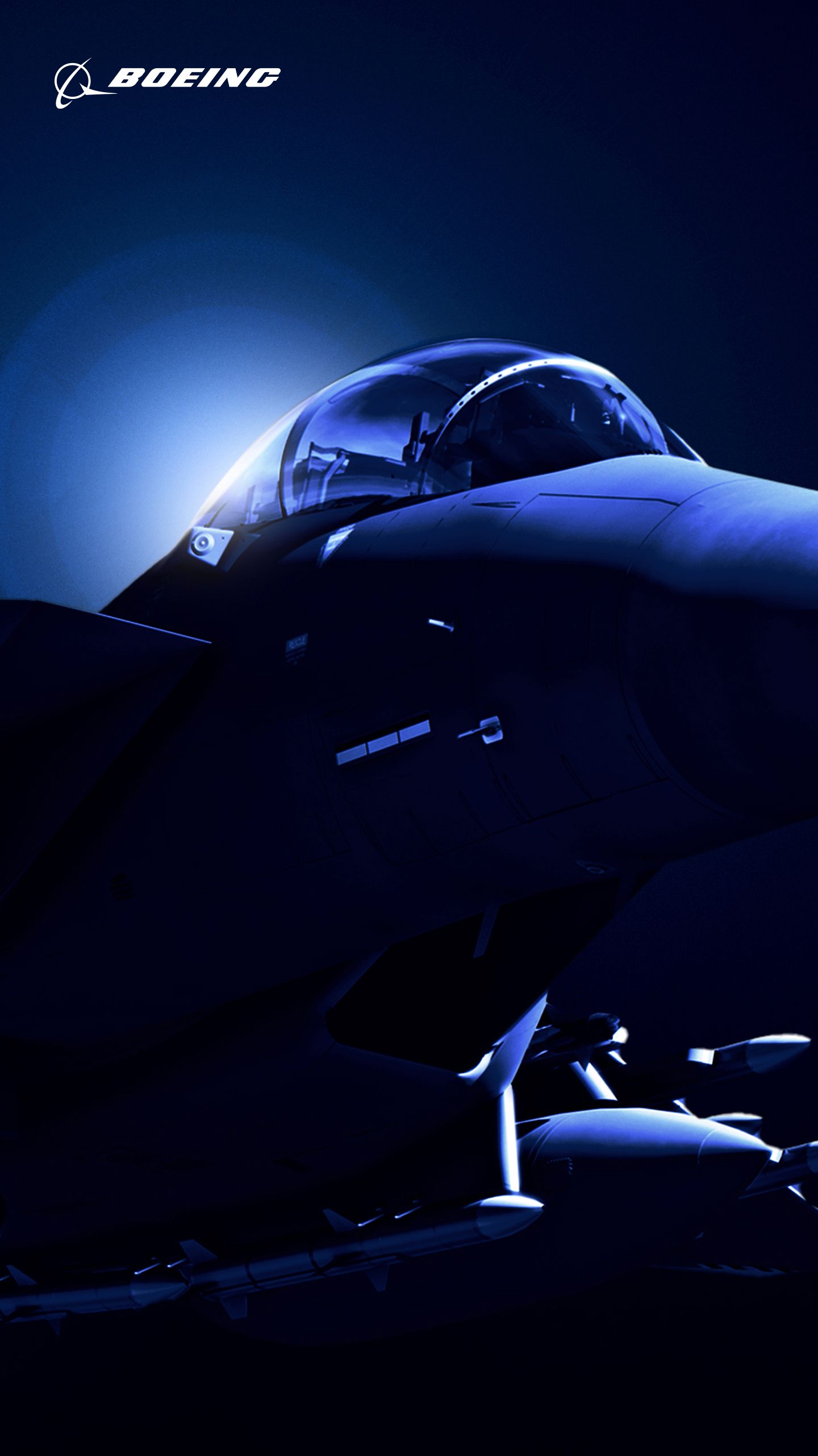1440x2560 BDS Wallpaper