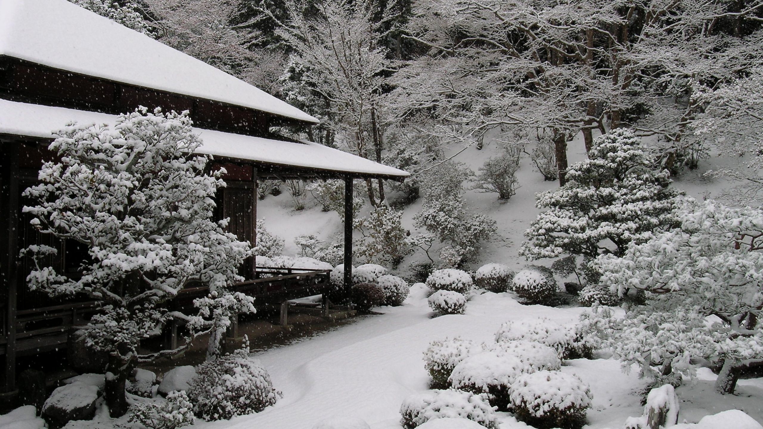 2560x1440 Wallpaper home, Japan, Japan, house, Snow trees, Winter Garden, Snow Trees, Winter Garden for mobile and desktop, section пейзажи, resolution 2560x1440