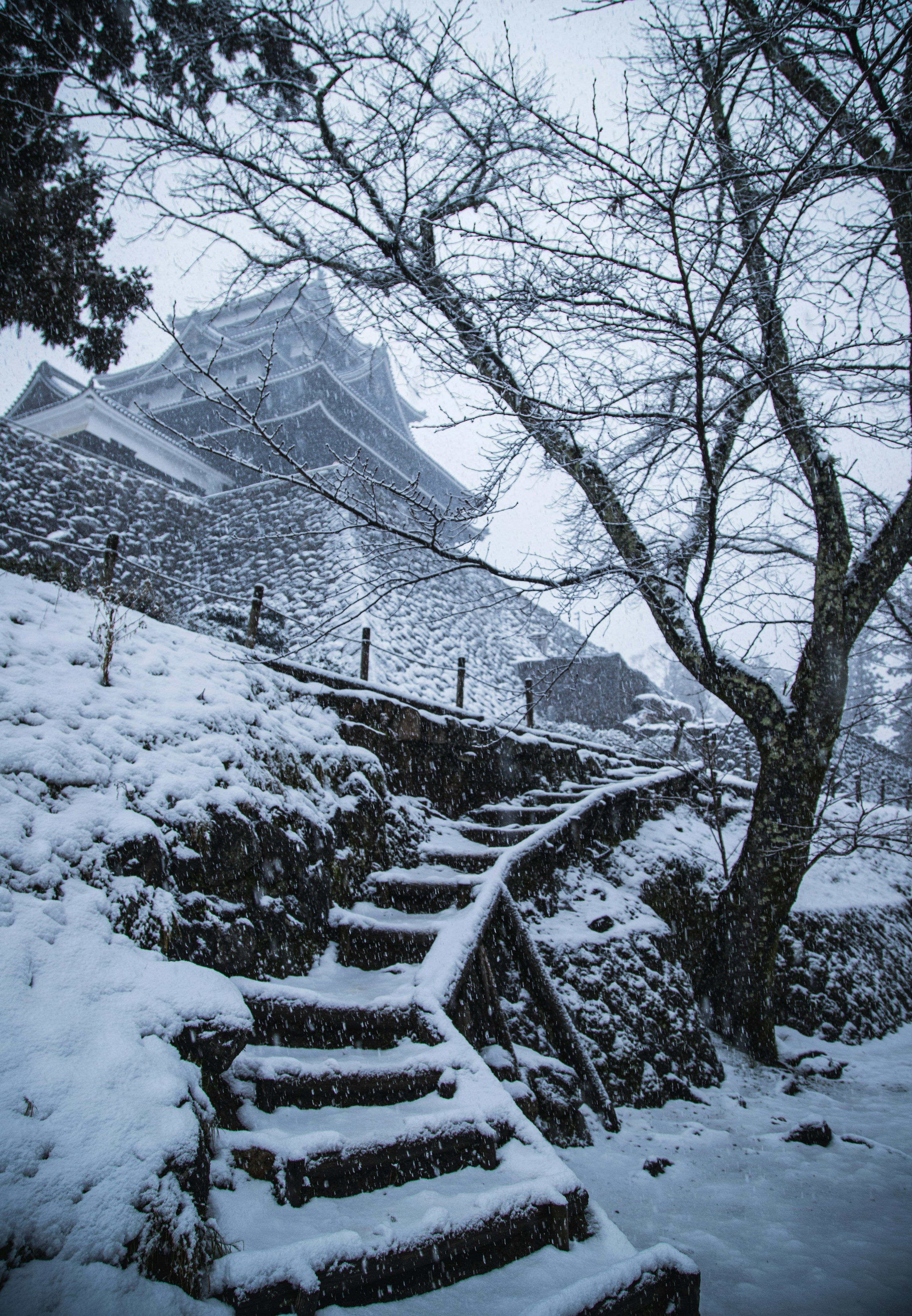 3000x4326 Snow blankets a japanese castle and its staircase. photo